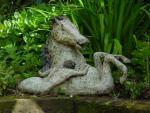 dsc00095.jpg