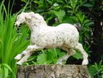 dsc00097.jpg