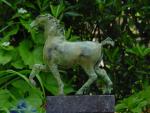 dsc00102.jpg