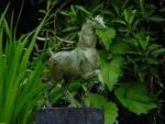 dsc00104.jpg