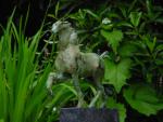 dsc00105.jpg