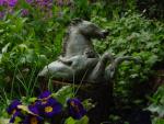 dsc00108.jpg