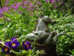 dsc00109.jpg