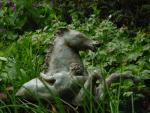 dsc00110.jpg