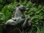 dsc00112.jpg