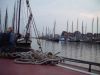 dsc08512.jpg