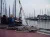 dsc08513.jpg
