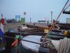 dsc08515.jpg