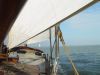 dsc08529.jpg