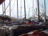 dsc08568.jpg