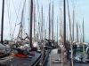 dsc08570.jpg