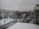dsc01661.jpg
