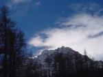dsc01833.jpg