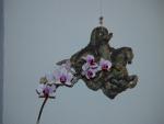 dsc00276.jpg