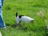 dsc02057.jpg