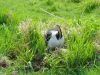 dsc02059.jpg