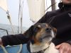 dsc02106.jpg