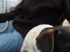 dsc02108.jpg